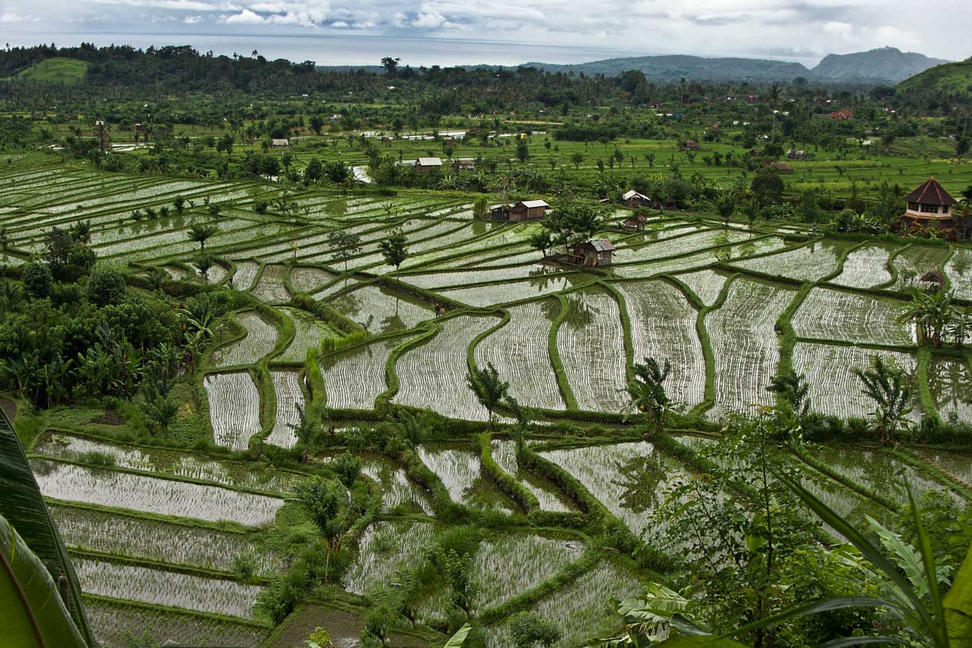 Bali_0797-4W.jpg