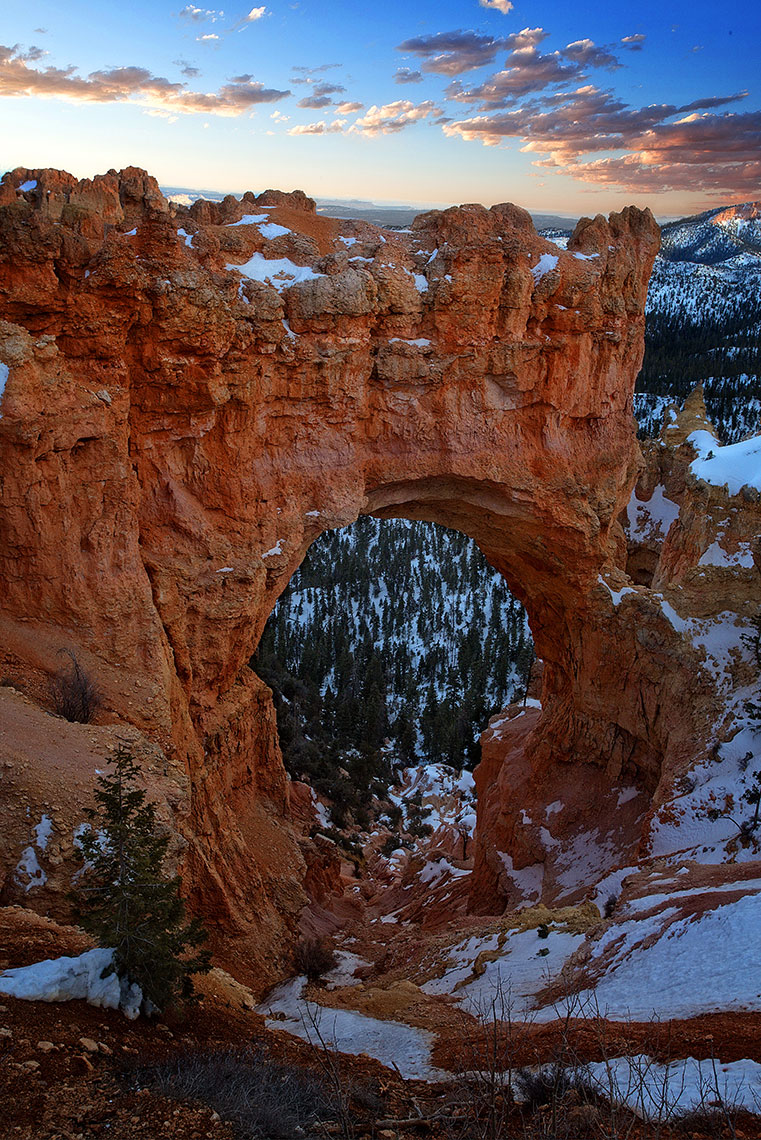 Arch 