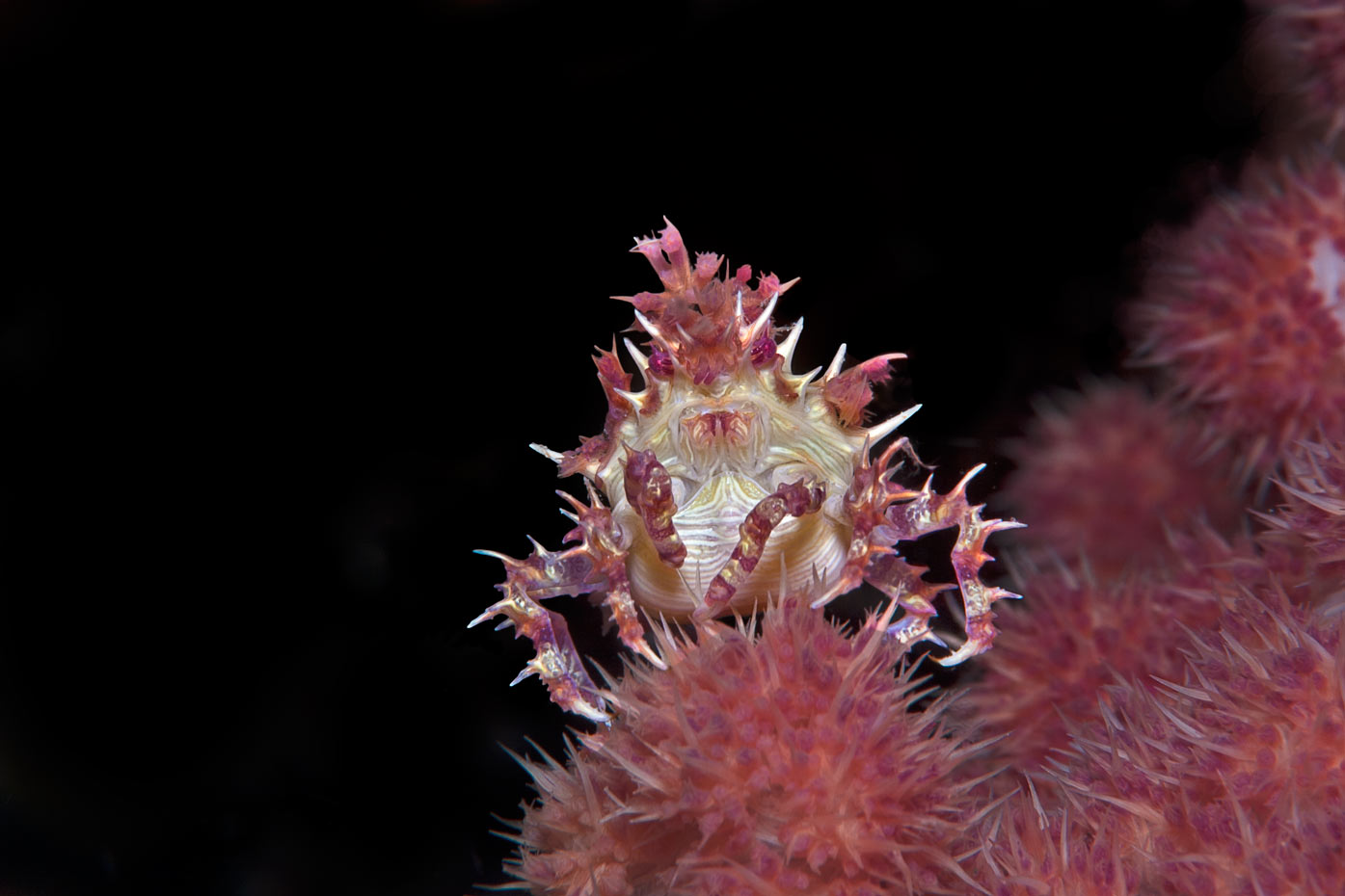 Bunaken-048-4W.jpg
