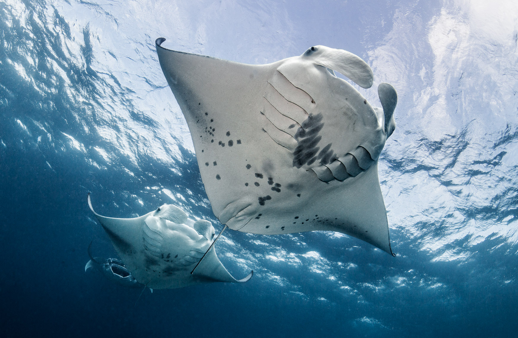 Hanufaru Bay_5442 4W.jpg