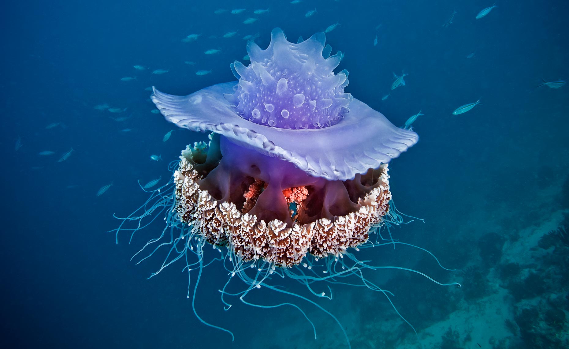 Hilutungan_0188-4W.jpg