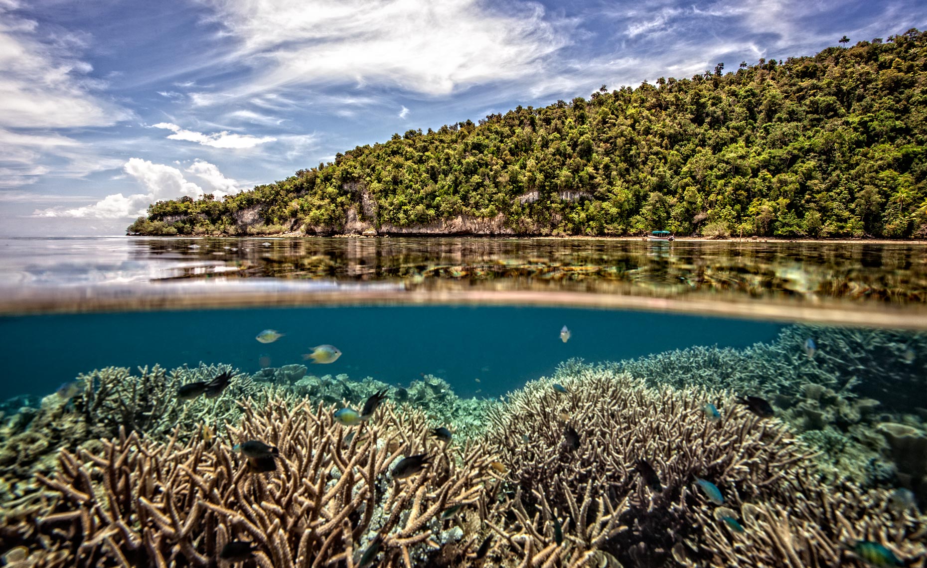 House-reef_0064-4W.jpg